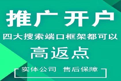 行业领先SEM服务公司案例研究